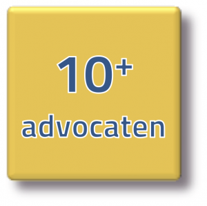 intervisie 10 advocaten