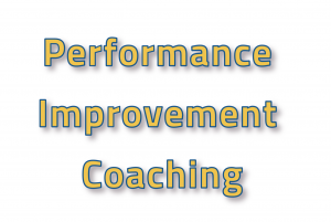 acquisitie performance improvement coaching