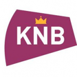 logo koninklijke notariële beroepsorganisatie