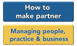 partner worden partnertraject managing people practice business