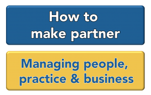 partner worden partnertraject managing people practice business