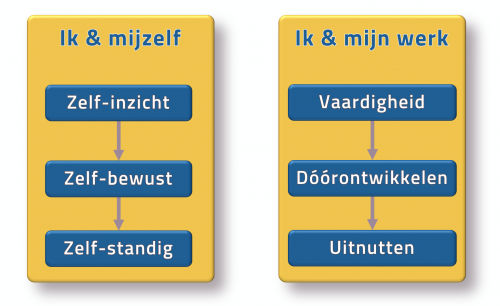 coaching traject zelfbewust zelfinzicht ontwikkeling aan het stuur